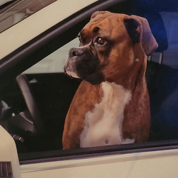 Meet your Posher, Mark - Picture 2 of 5